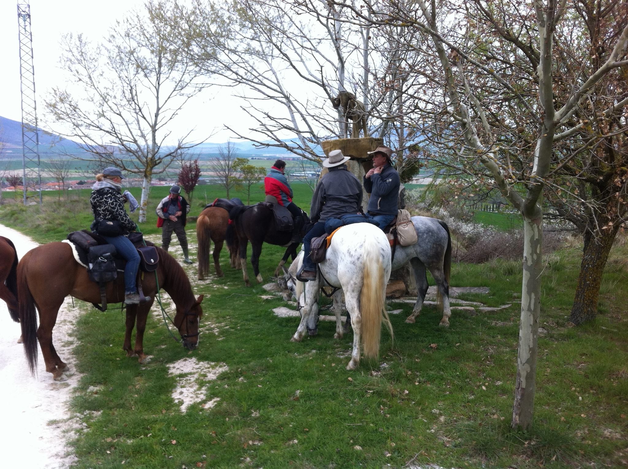 Camino del Rocío a través de Navarra